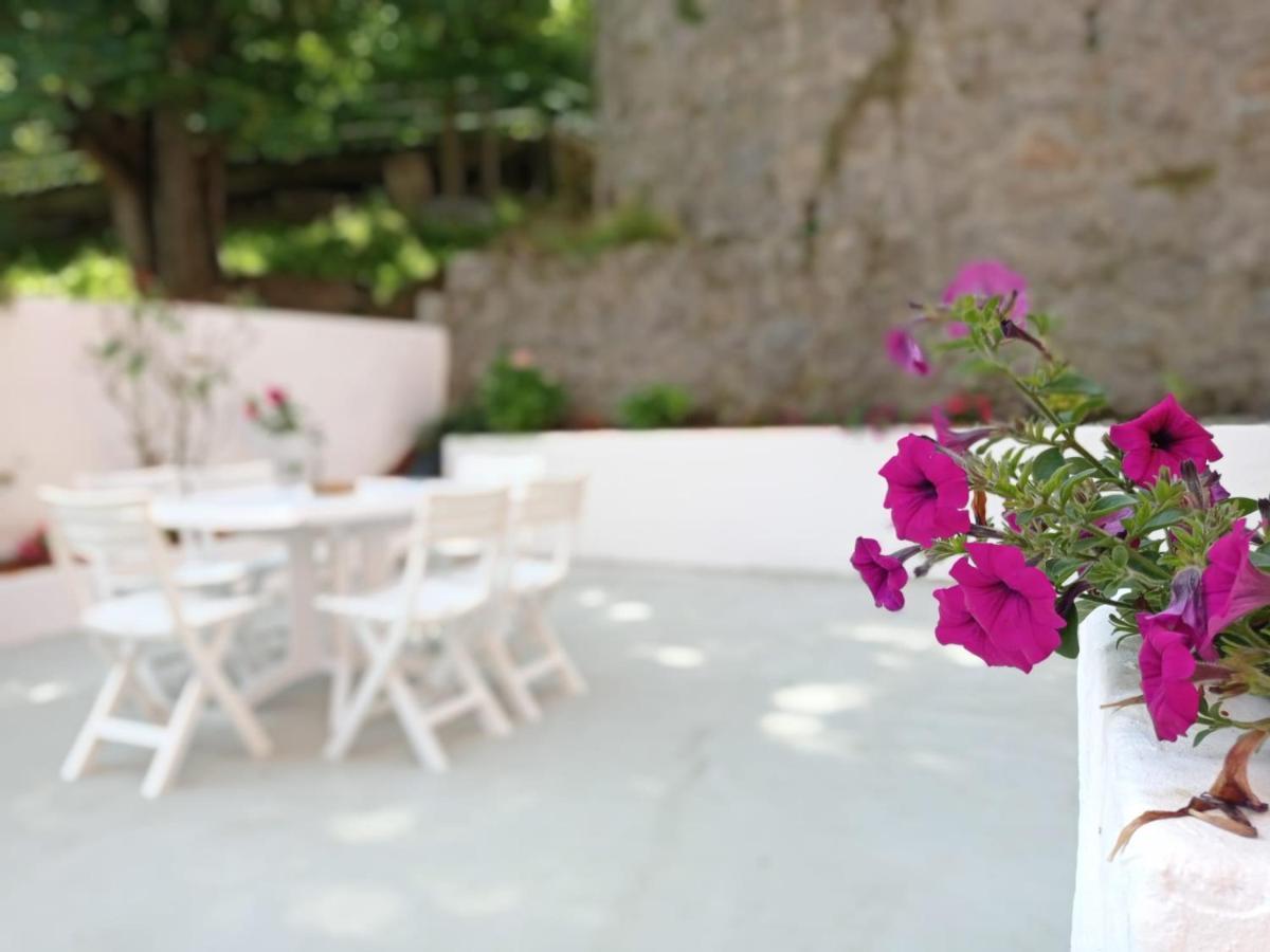 סן סבסטיאן Easo Terrace Apartment Free Private Parking And Air Conditioning מראה חיצוני תמונה